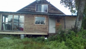denali-view-adventures-old-cabin